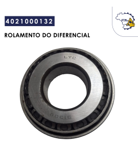 4021000132|Rolamento do Diferencial 