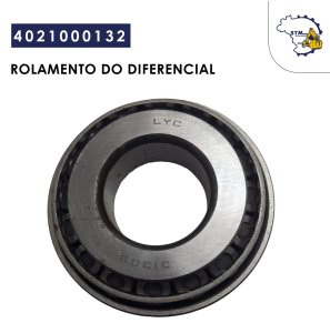 4021000132|Rolamento do Diferencial 