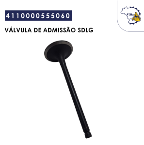 4110000555060|Válvula de admissão  Sdlg